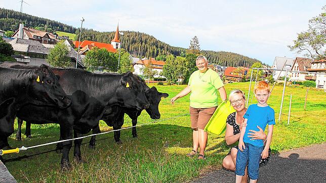 Höfle-Bäuerin Michaela Kienzler (von links) füttert mit Lennart und dessen Mama Denise die Angus-Rinder.