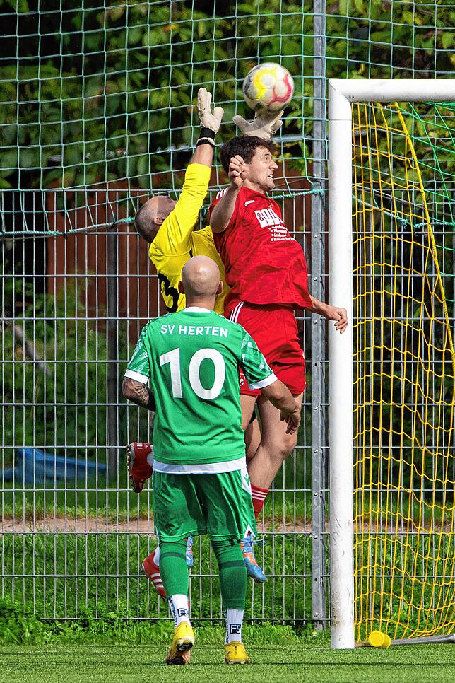 Bild 33: VfR Bad Bellingen siegt 2:0 beim SV Herten &ndash; und wir haben Bilder!