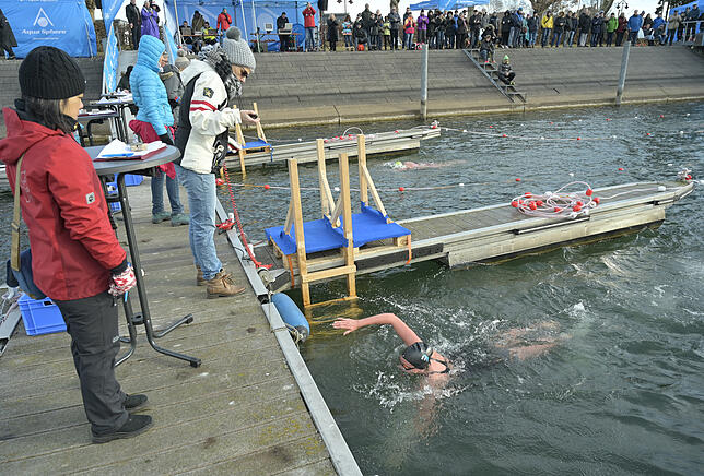 Bild 6: Eis-Schwimmen im Hafenbecken des Radolfzeller Yachtclubs