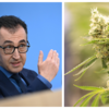 Ihm ist ein Interessensausgleich zwischen dem Jugendschutz und einer liberalen Politik wichtig: Grünen-Politiker Cem Özdemir.