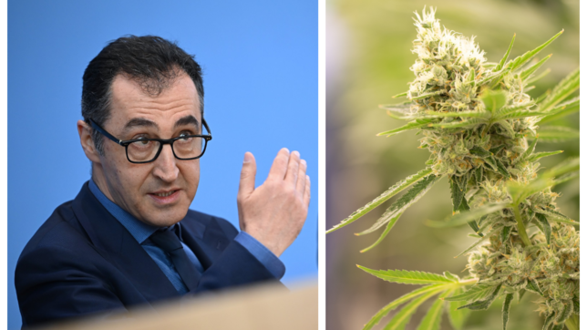 Ihm ist ein Interessensausgleich zwischen dem Jugendschutz und einer liberalen Politik wichtig: Grünen-Politiker Cem Özdemir.
