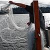 Ein Fischer wirft auf dem Bodensee ein Netz aus. Felchen dürfen ab 2024 aber nicht mehr gefangen werden.