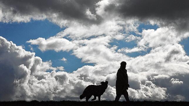 Wer einen Hund hält, soll ab Januar 2021 mehr Steuern bezahlen. Eine Entscheidung fällt am Donnerstag.