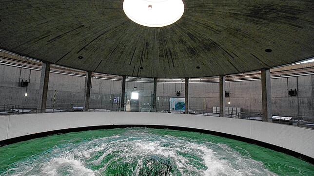 Quellbecken der Bodensee-Wasserversorgung bei Sipplingen.