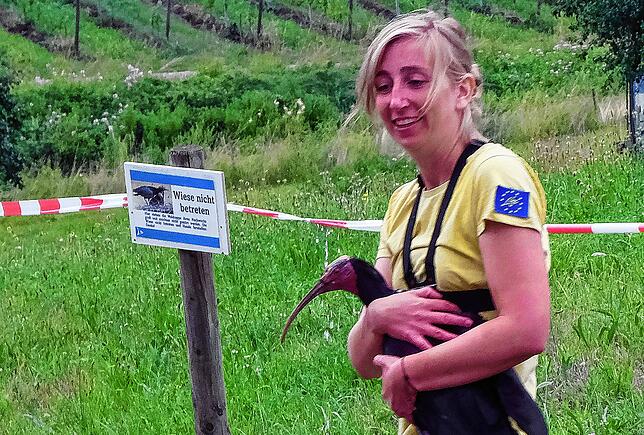 Anne-Gabriela Schmalstieg beim Transport der Waldrappe im Juni.
