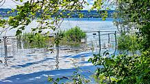 Ein Zaun im Bodensee? Er sollte der Biberburg an der Schmugglerbucht unterhalb der Kliniken Schmieder schützen. Der Bau steht jetzt aber ...