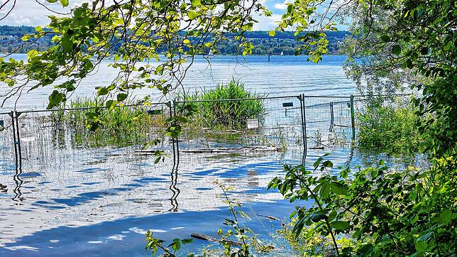 Ein Zaun im Bodensee? Er sollte der Biberburg an der Schmugglerbucht unterhalb der Kliniken Schmieder schützen. Der Bau steht jetzt aber ...