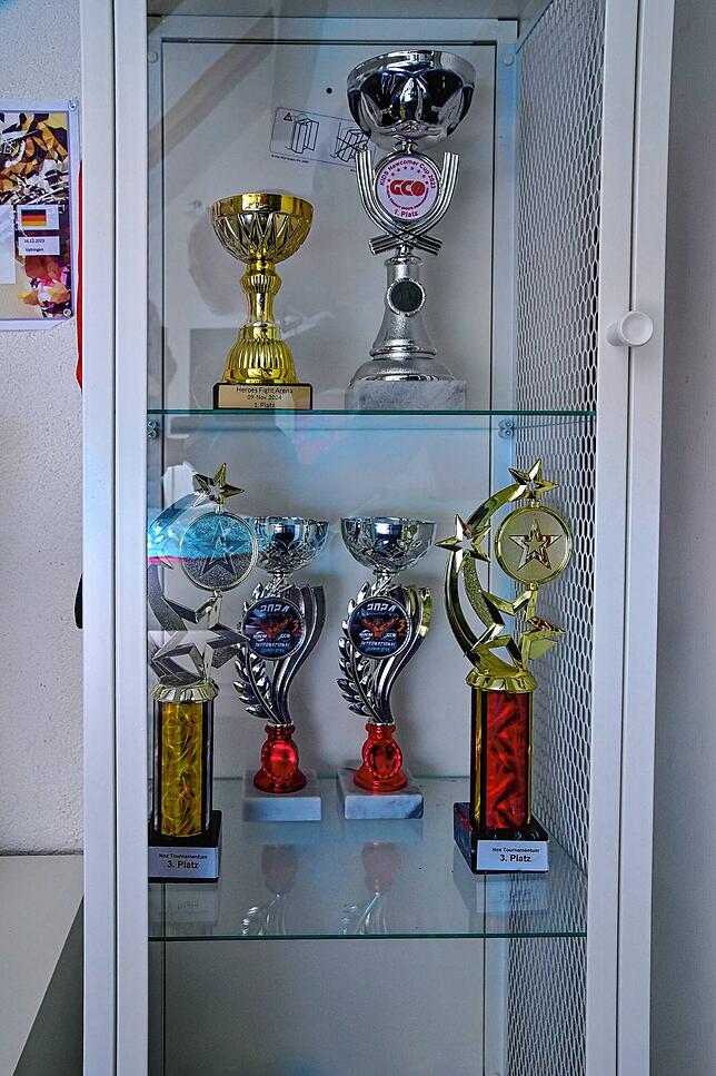 Eine ganze Vitrine voller Pokale steht im Zimmer der jungen Kampfsportlerin.
