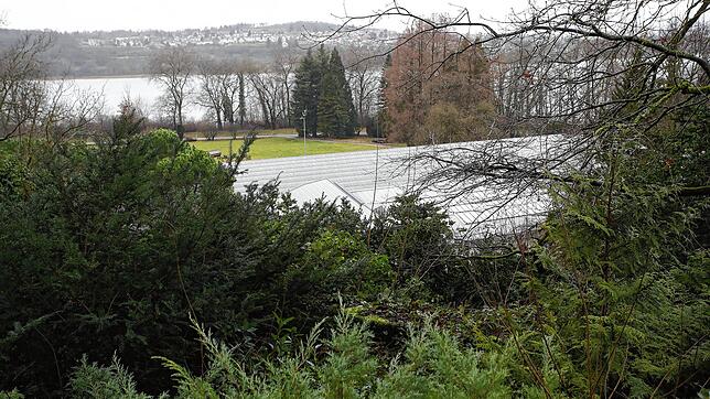 Die Insel Mainau will sich für die Zukunft aufstellen und einiges ändern. Im Bereich der Gärtnerei soll zum Beispiel ein ...