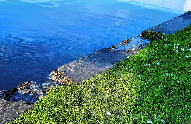 Das Wasser ist am 16. Juli schon fast auf Kante und läuft in die Schäden an der Steinkante neben dem Uferweg im Uferpark Bodman.
