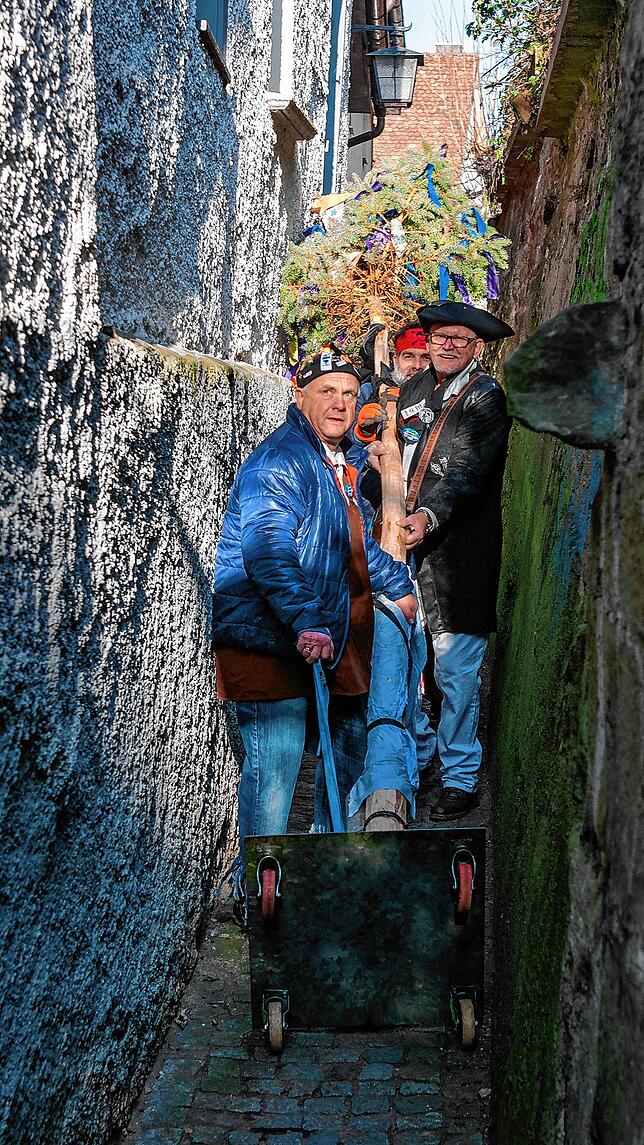 Enger geht‘s kaum noch: 15 Meter Narrenbaum im Zitronengässle. Thomas Schäfer (vorne links) , Rudi Eppler (rechts) und Karlheinz ...