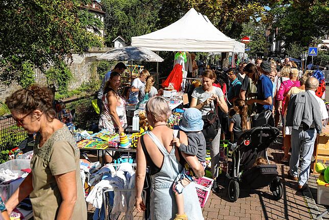 Bild 19: Bilder vom Altstadtfest in Radolfzell (1/2)
