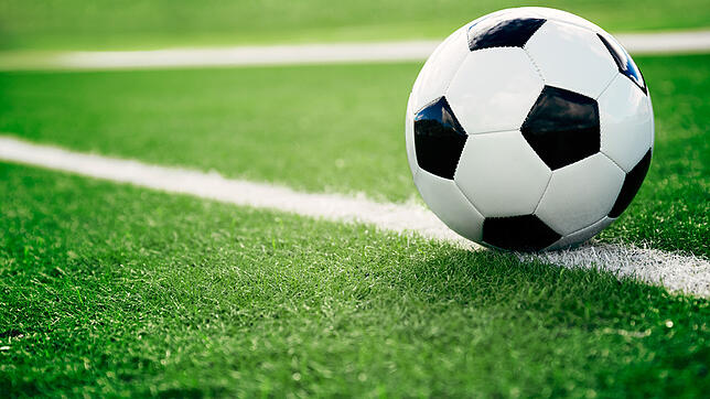 Der Ball ist rund, ein Spiel dauert 90. Minuten – beim SV Hammereisenbach läuft es rund. Foto: Shutterstock