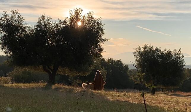 Die Laufenburger Künstlerin mit einem Herdenschutzhund unter einem Olivenbaum auf dem Berg Monte Malbe in Perugia.