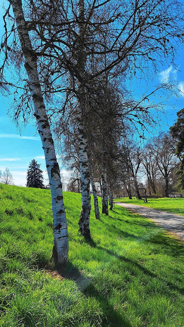 Noch sind die Bäume im Schlosspark kahl.