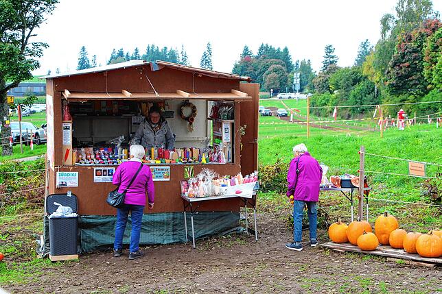 Bild 8: Viel Begeisterung beim 12. Strohskulpturen-Wettbewerb in Verbindung mit dem 25. Kürbismarkt