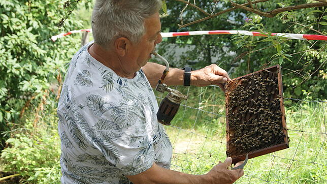 Rolf Gut ist erfahrener Imker. Hier präsentiert er dem CDU-Ortsverband sein Bienenvolk.