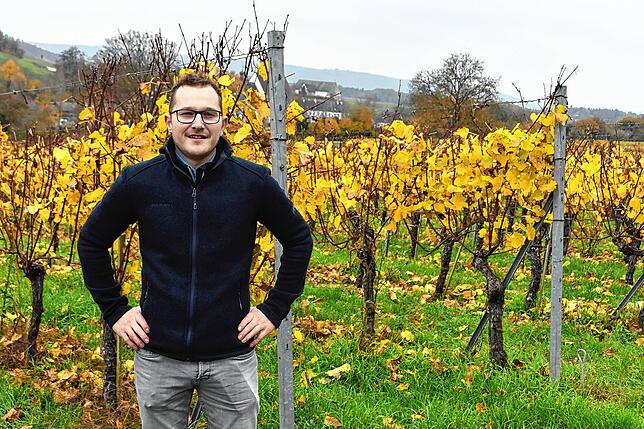 Der Biowinzer Julian Moser wird künftig den konventionellen Rebberg Schloss Rheinburg in Gailingen leiten. Wo es Sinn macht, will er den ...