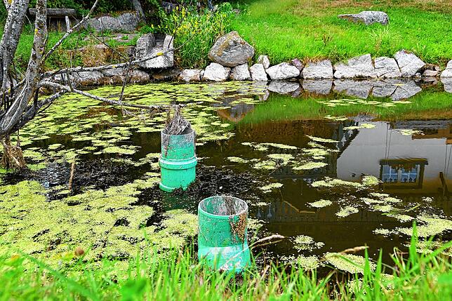 Die Brigachquelle beim Hirzbauernhof in Brigach, einem der beiden Quellflüsse der Donau, ist seit Wochen versiegt. Der Wasserstand des ...