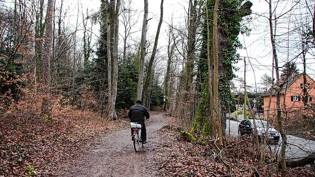 Radfahrer müssen auf den Waldweg, die Straße ist den Autofahrern vorbehalten. So sieht es in einem Abschnitt der Eichhornstraße aus, der ...