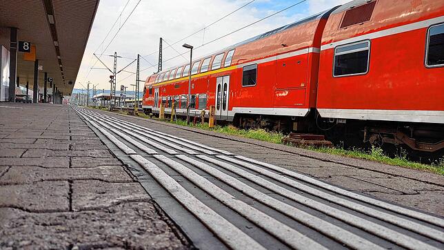 Eine Fahrt mir der Hochrheinbahn kurz vor Ende des 9-Euro-Tickets. Weil Ferienzeit ist, sind besonders viele Ausflügler und Urlauber ...