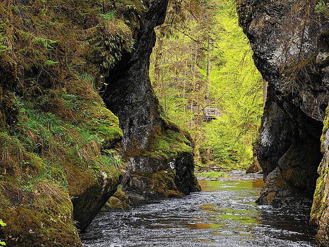 Ein Bild aus dem Buch: Beim Rechenfelsen befindet sich eine der engsten Stellen in der Wutachschlucht. Nur wenige Meter Platz finden ...