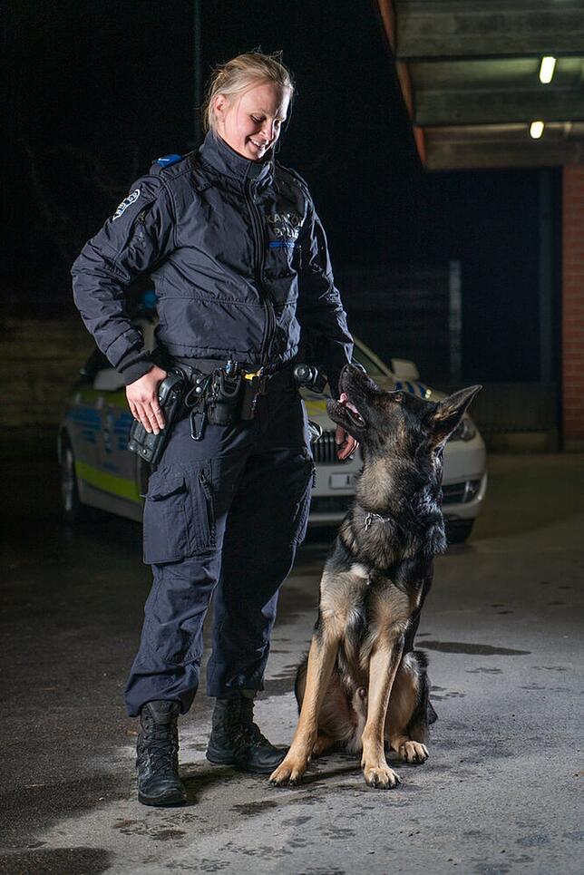 Polizeihund Eyk spürte zwei Diebe auf.
