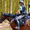 Zwei Polizisten der Reiterstaffel durchforsten auf ihren Pferden den Wald bei Königsfeld auf der Suche nach einer vermissten Frau.