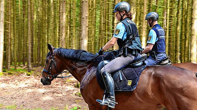 Zwei Polizisten der Reiterstaffel durchforsten auf ihren Pferden den Wald bei Königsfeld auf der Suche nach einer vermissten Frau.