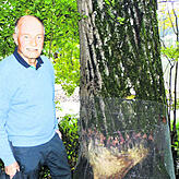 Auch Ulrich Tillessen aus Waldshut schwimmt regelmäßig im Rhein.
