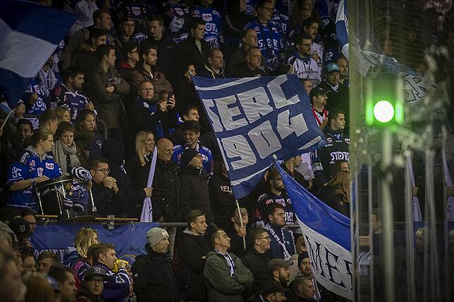 Bild 29: Die Wild Wings siegen wieder in der Deutschen Eishockey-Liga
