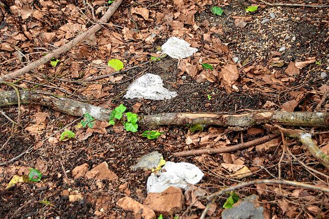 Immer mehr Taschentücher im Wald: Eine Folge der zunehmenden Waldbesucher.