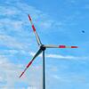 Macht die Stadtverwaltung in VS genug für die Energiewende? Die Grünen fordern nun im Gemeinderat eine raschere Gangart etwa bei der ...