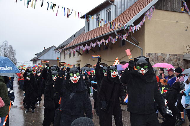 Bild 39: Schlüchttalnarrentreffen in Nöggenschwiel: So beeindruckend war das Event