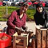 Tanja Müller und Desirée Köpfler basteln an ihren Wildbienenhotels
