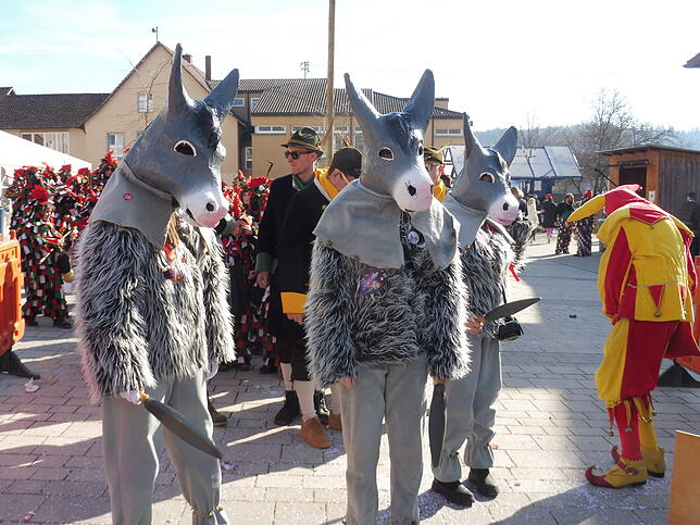Bild 25: Fasnet-Sunntig-Umzug 2025 in Hilzingen: Farbenfrohes Treiben