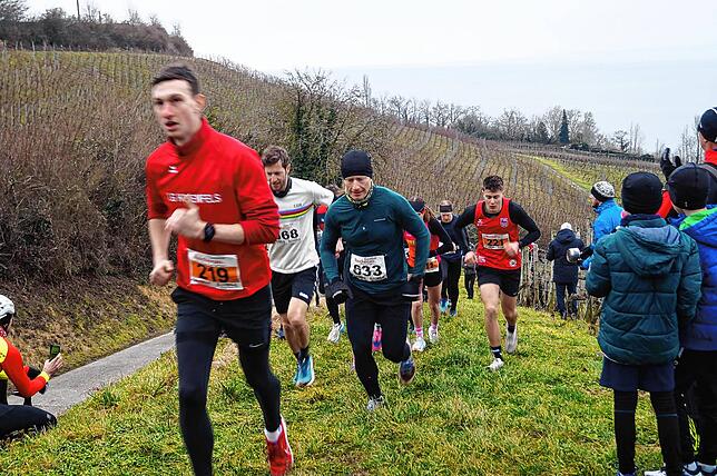 Bild 10: Bilder vom Crosslauf Hegau-Bodensee in den Reben oberhalb der Haltnau