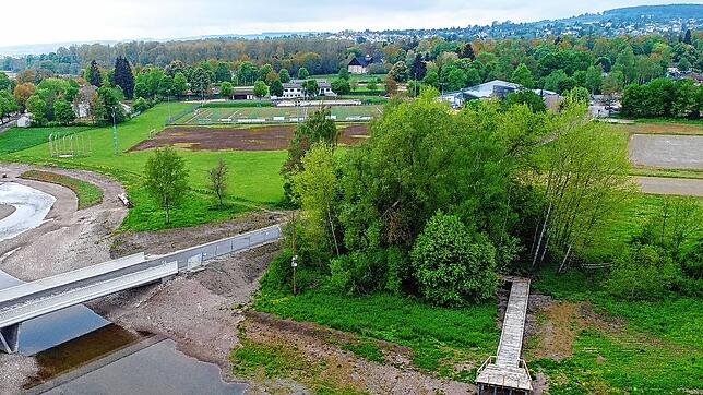 Der neu gestaltete Donau-Zusammenfluss im Donaueschinger Haberfeld. Rechts im Bild ist ein Teil des Steges zu erkennen, von dem noch ein ...