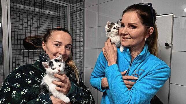 Tierpflegehelferin und Erlebnispädagogin Lysette Proschinger (links) und Tierheimleiterin Indra von Gersdorff mit zwei zu vermittelnden ...