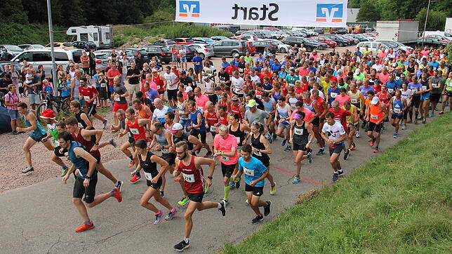 Und los geht&lsquo;s: Insgesamt begaben sich 440 Läuferinnen und Läufer beim 29. Wehratallauf der Lauffreunde Wehratal auf die 10,2 ...