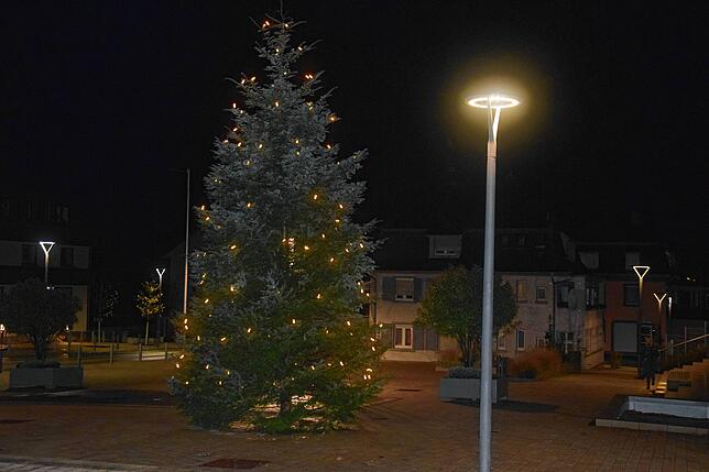 Und über allem wacht er stolz: Der Weihnachtsbaum in der Murger Mitte.