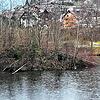 Spuren des Bibers sind am Dorfweiher in Tennenbronn nicht zu übersehen &ndash; hier Aufnahmen von Anfang Januar. Das sorgt aber nicht ...