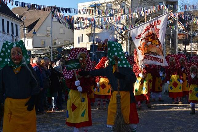 Bild 18: Bilder vom Narrentreffen der Urviecher-Zunft Bad Dürrheim: Großer Festumzug (4)