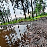 Das Wasser soll an Ort und Stelle versickern. Im lehmigen Waldboden wie hier am Laible gelingt das nicht immer. Bild: Norbert Trippl