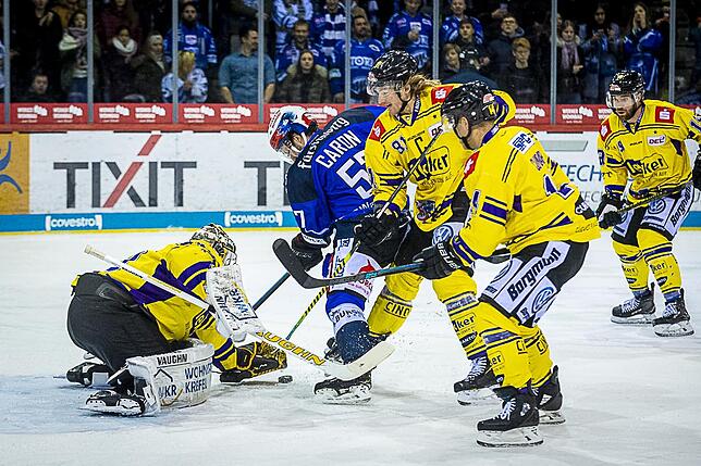 Bild 13: Bilder: Wild Wings vs. Krefeld Pinguine