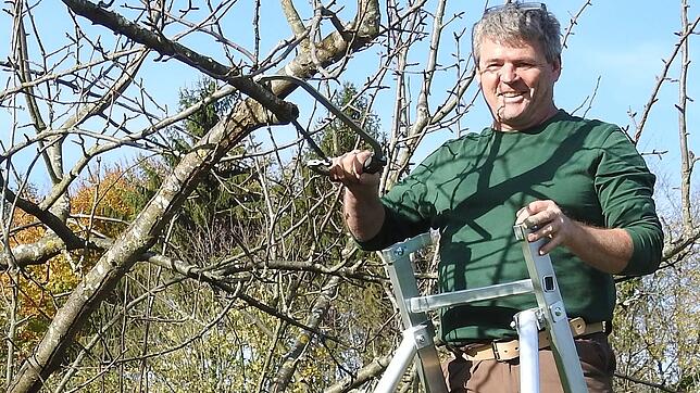 Richtige Baumpflege: Edgar Koller, Gartenbauexperte und Vorsitzender der Fachwartevereinigung Hochrhein.