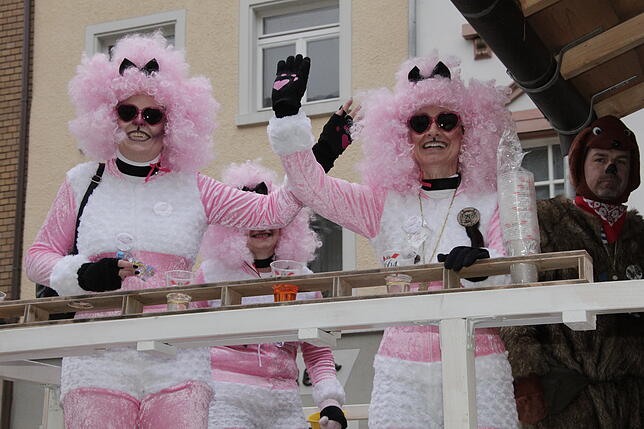 Bild 5: Bilder vom Umzug der Katzenmusik am Montagmorgen