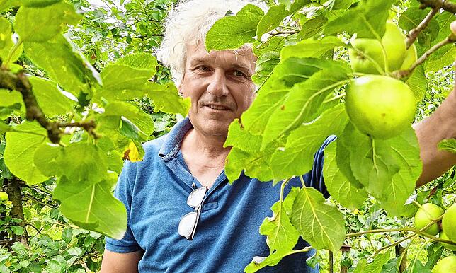 Dr. Ulrich Mayr erforscht am Kompetenzzentrum Obstbau bei Ravensburg neue Apfelsorten.