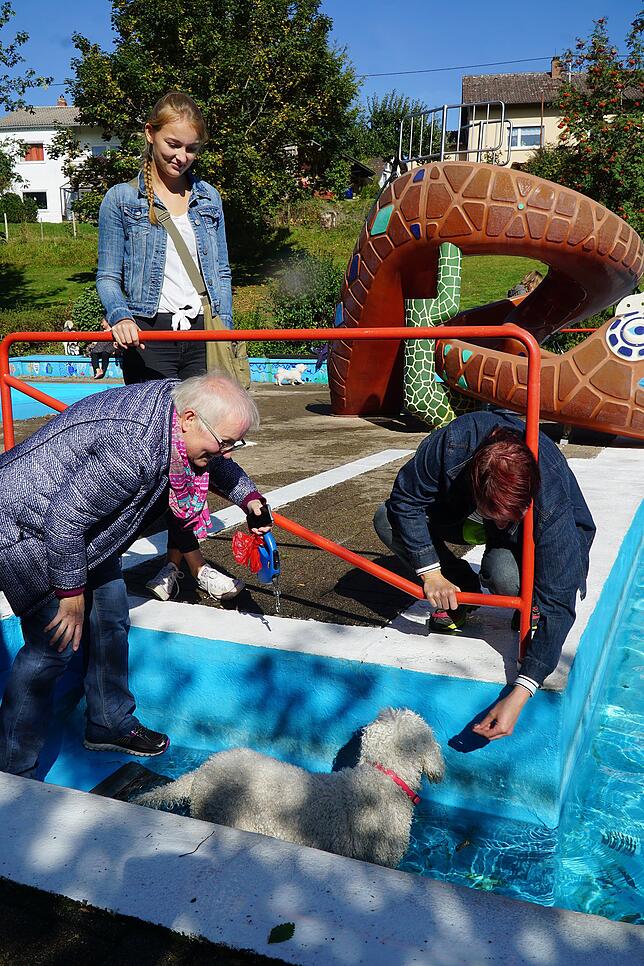 Nicht jeder Hund will so wie Frauchen es gerne hätte, auch unter Hunden gibt es Wasserscheue.