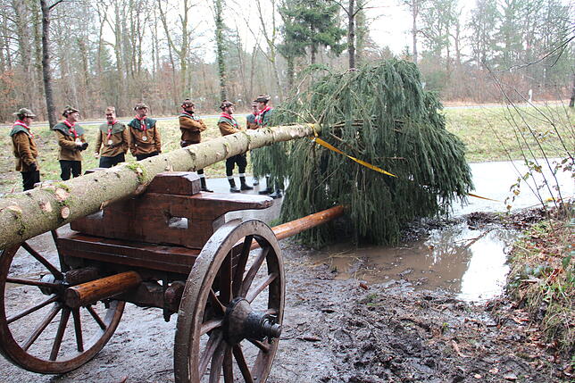Bild 12: Bilder vom Einholen der Narrenbäume der Narrizella Ratoldi und der Froschenzunft im Altbohlwald